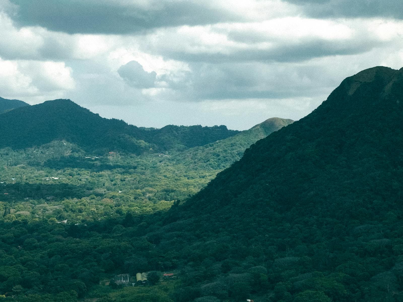 Cerro Hoya National Park