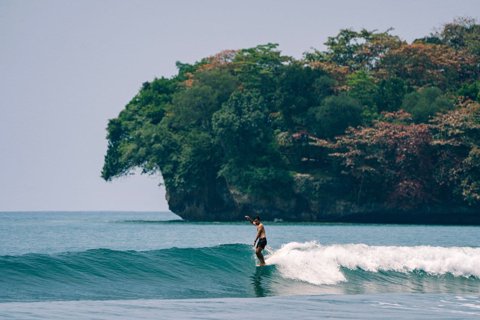 Surf