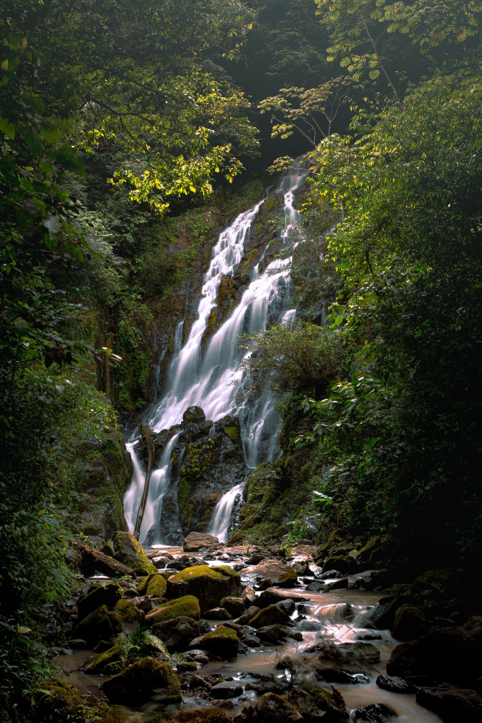 Waterfalls & jungle hikes